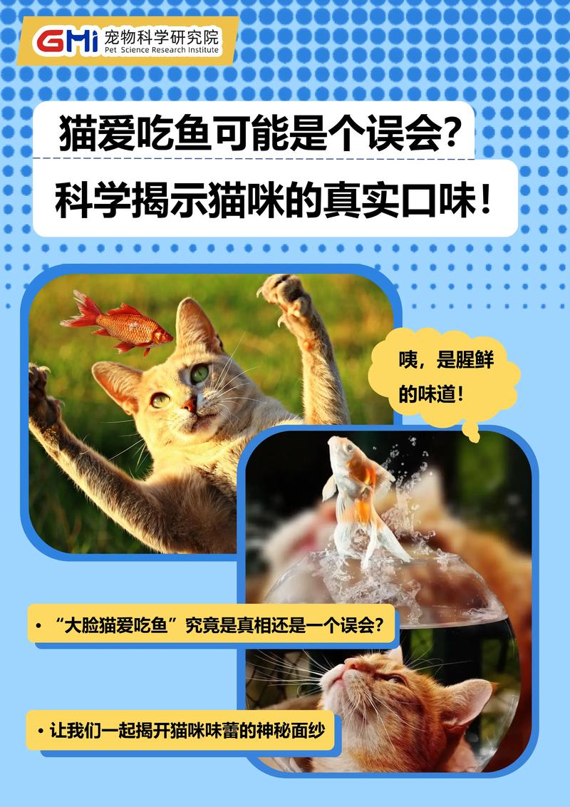 猫咪不吃小鱼干，猫咪不吃小鱼干是什么原因？-第4张图片-后鲨宠物