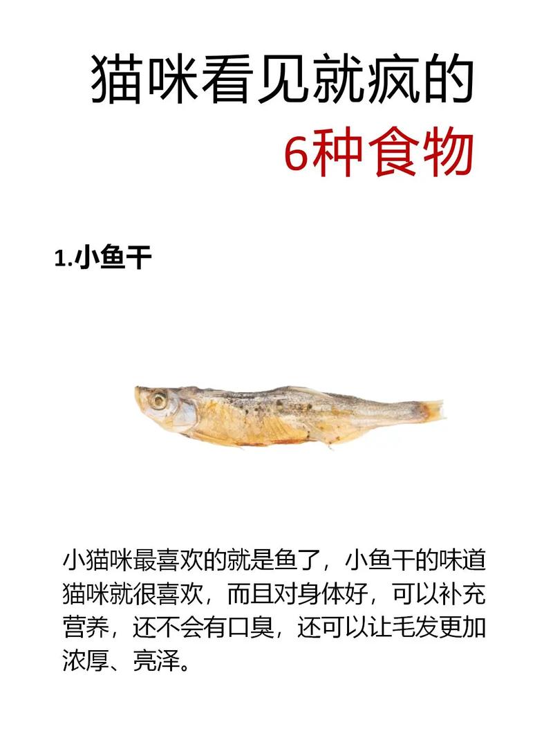 猫咪不吃小鱼干，猫咪不吃小鱼干是什么原因？-第5张图片-后鲨宠物