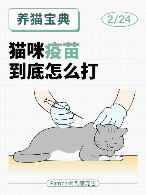 猫咪打完疫苗发烧,猫咪打完疫苗发烧怎么办?-第1张图片-后鲨宠物 猫咪打完疫苗发烧,猫咪打完疫苗发烧怎么办?-第1张图片-后鲨宠物