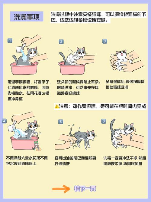在家怎么给猫咪洗澡，给猫咪洗澡的正确方法？