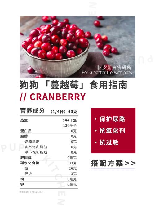 狗狗能吃蔓越莓吗,狗狗能吃蔓越莓吗干-第4张图片-后鲨宠物 狗狗能吃蔓越莓吗,狗狗能吃蔓越莓吗干-第4张图片-后鲨宠物