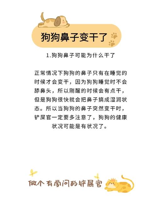 狗狗鼻子不湿润怎么办,狗狗鼻子不太湿润?-第4张图片-后鲨宠物 狗狗鼻子不湿润怎么办,狗狗鼻子不太湿润?-第4张图片-后鲨宠物