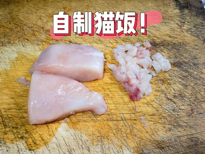 猫咪鸡胸肉怎么做_猫咪鸡胸肉怎么做猫粮-第4张图片-后鲨宠物 猫咪鸡胸肉怎么做_猫咪鸡胸肉怎么做猫粮-第4张图片-后鲨宠物