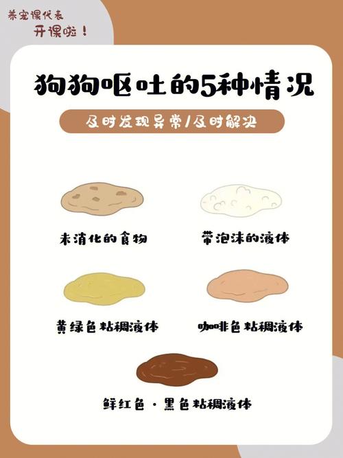 狗狗咳嗽是什么声音,狗狗咳嗽是啥样的?-第1张图片-后鲨宠物 狗狗咳嗽是什么声音,狗狗咳嗽是啥样的?-第1张图片-后鲨宠物