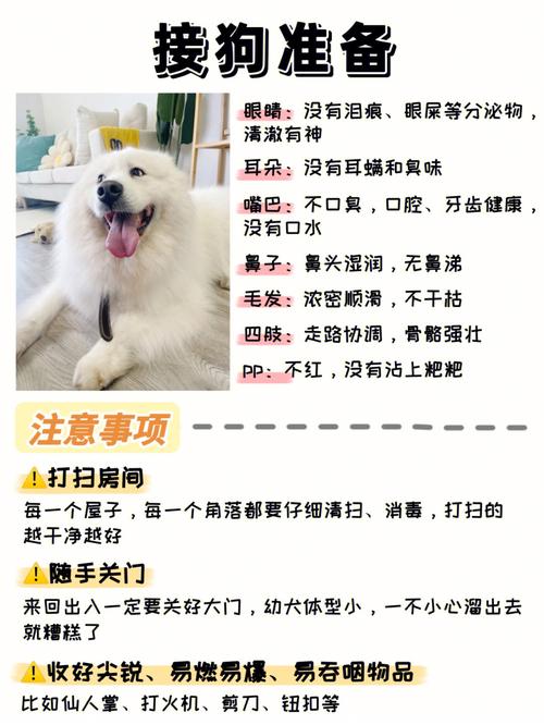 新到家的狗狗注意事项,新到家的狗狗注意事项是什么?-第3张图片-后鲨宠物 新到家的狗狗注意事项,新到家的狗狗注意事项是什么?-第3张图片-后鲨宠物