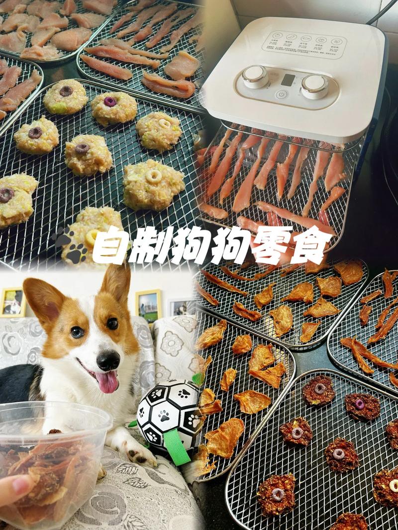 狗狗零食自制做法大全,狗狗小零食制作?-第2张图片-后鲨宠物 狗狗零食自制做法大全,狗狗小零食制作?-第2张图片-后鲨宠物