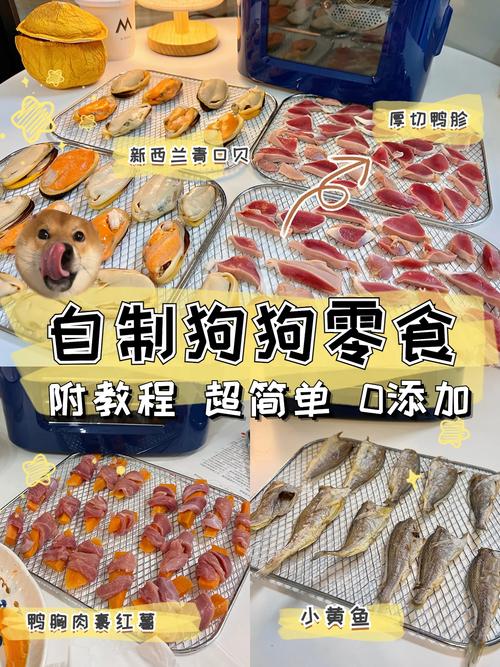 狗狗零食自制做法大全,狗狗小零食制作?-第4张图片-后鲨宠物 狗狗零食自制做法大全,狗狗小零食制作?-第4张图片-后鲨宠物