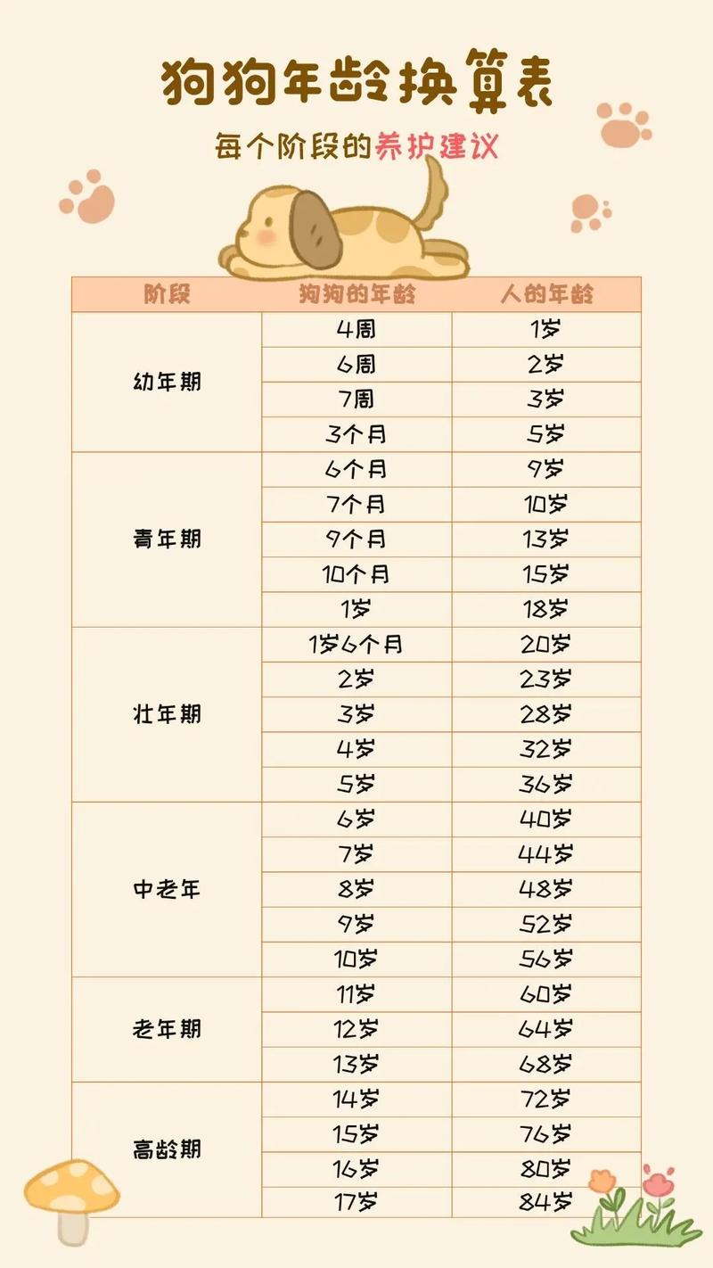 狗狗年龄换算表，狗狗年龄公式？
