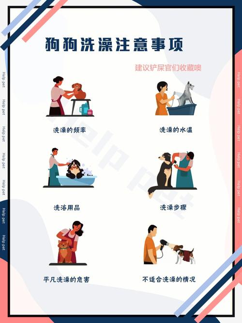 狗狗怀孕能洗澡吗,狗狗怀孕期间可以洗澡吗??-第6张图片-后鲨宠物 狗狗怀孕能洗澡吗,狗狗怀孕期间可以洗澡吗??-第6张图片-后鲨宠物