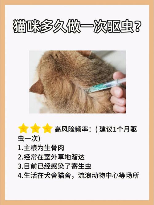猫咪多久驱一次虫,猫咪多久驱一次虫最合适?-第1张图片-后鲨宠物 猫咪多久驱一次虫,猫咪多久驱一次虫最合适?-第1张图片-后鲨宠物