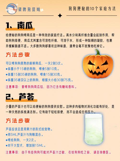 狗狗便秘拉不出来怎么办，狗狗便秘拉不出来怎么办全身发抖？