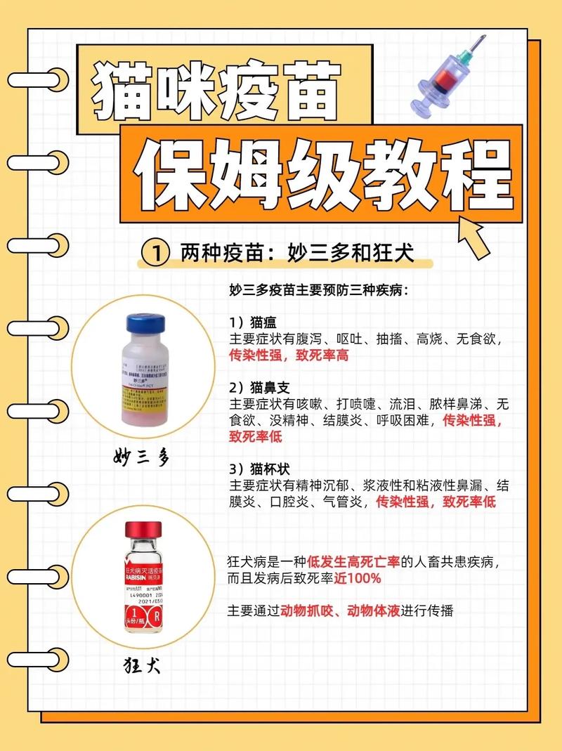  猫咪要打什么针，猫咪要打什么针,做什么 驱虫-第2张图片-后鲨宠物