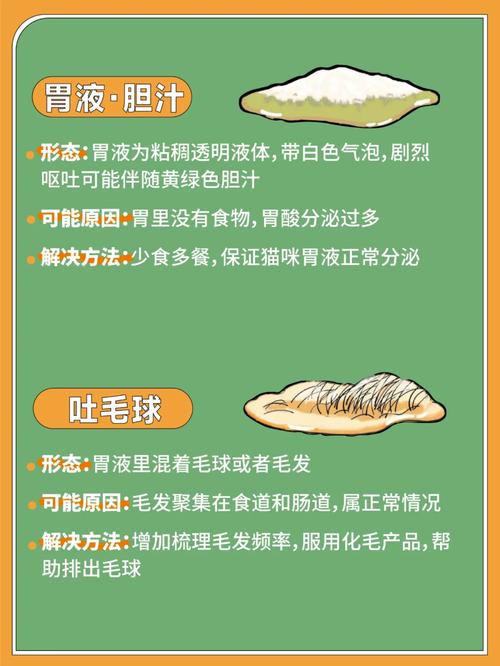 猫咪吐绿水是什么原因,猫咪吐绿水怎么办?-第3张图片-后鲨宠物 猫咪吐绿水是什么原因,猫咪吐绿水怎么办?-第3张图片-后鲨宠物