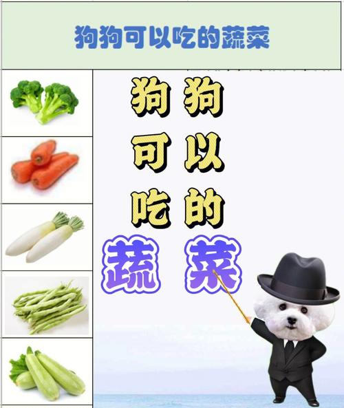 狗狗可以吃芋头吗,狗狗可以吃芋头吗煮熟的?-第2张图片-后鲨宠物 狗狗可以吃芋头吗,狗狗可以吃芋头吗煮熟的?-第2张图片-后鲨宠物