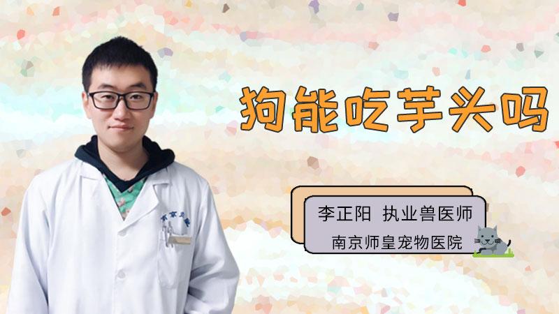 狗狗可以吃芋头吗,狗狗可以吃芋头吗煮熟的?-第5张图片-后鲨宠物 狗狗可以吃芋头吗,狗狗可以吃芋头吗煮熟的?-第5张图片-后鲨宠物