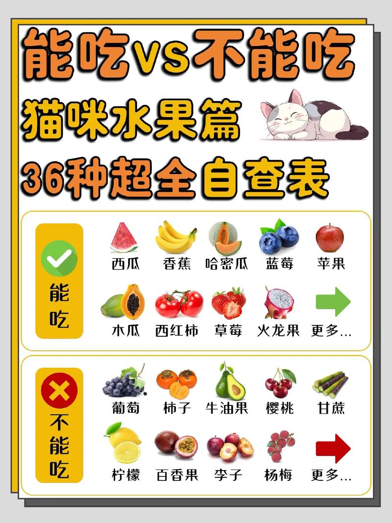  猫咪肠胃不好吃什么，猫咪肠胃不好吃什么药好得快-第4张图片-后鲨宠物