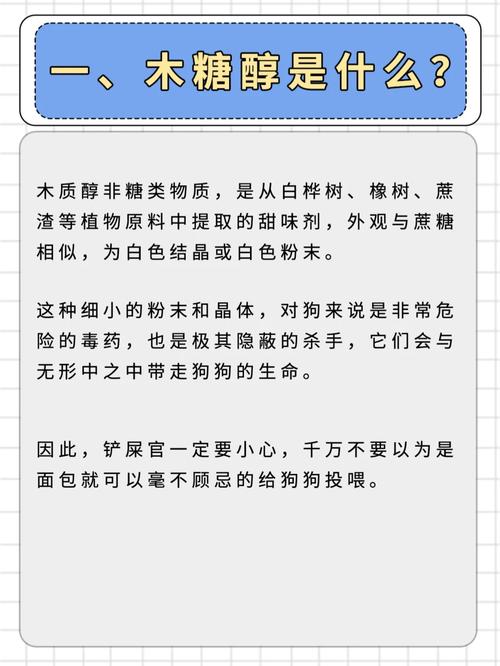 狗狗可以吃全麦面包吗,狗狗可以吃全麦面包嘛-第2张图片-后鲨宠物 狗狗可以吃全麦面包吗,狗狗可以吃全麦面包嘛-第2张图片-后鲨宠物