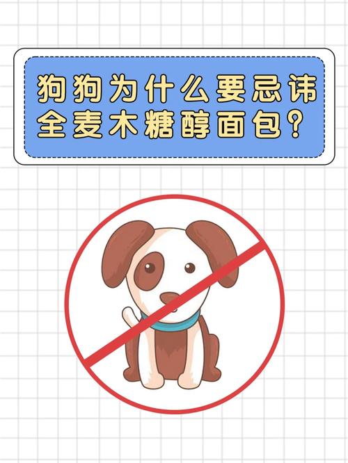 狗狗可以吃全麦面包吗,狗狗可以吃全麦面包嘛-第3张图片-后鲨宠物 狗狗可以吃全麦面包吗,狗狗可以吃全麦面包嘛-第3张图片-后鲨宠物