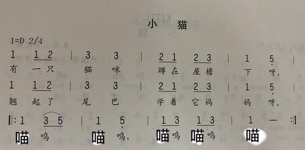 猫咪喜欢听什么音乐,猫咪喜欢听什么歌曲-第3张图片-后鲨宠物 猫咪喜欢听什么音乐,猫咪喜欢听什么歌曲-第3张图片-后鲨宠物