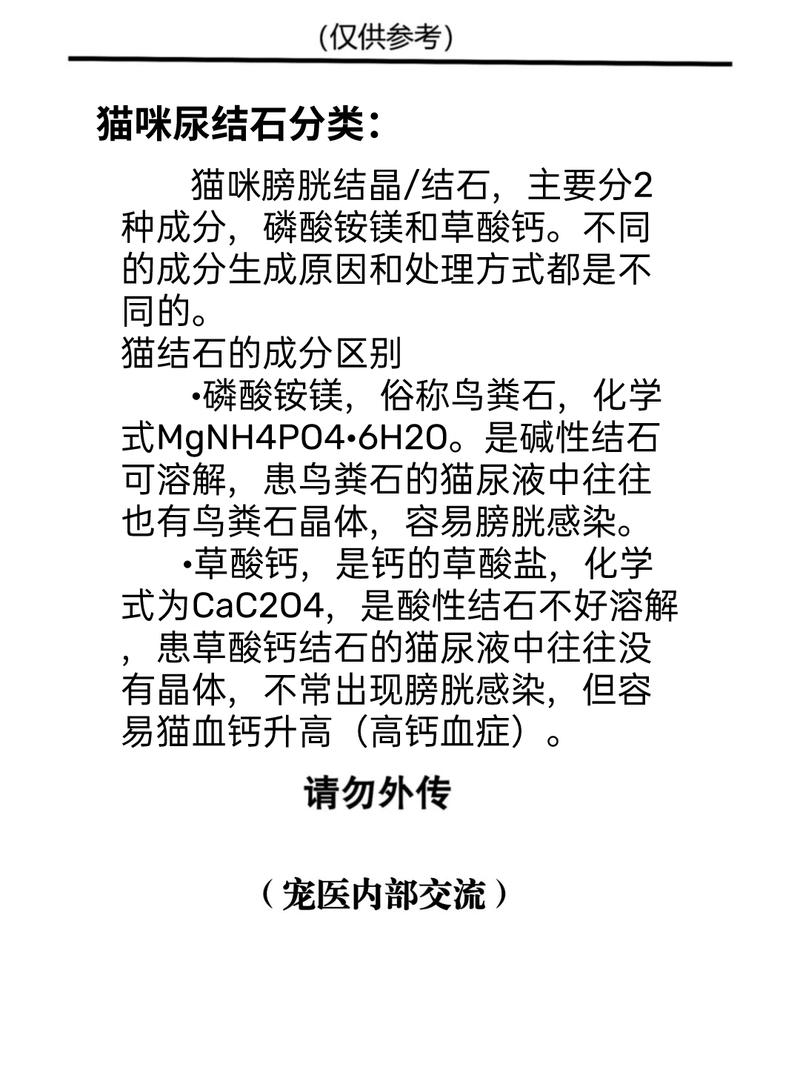 猫咪结石手术多少钱,猫咪结石手术多少钱一次-第1张图片-后鲨宠物 猫咪结石手术多少钱,猫咪结石手术多少钱一次-第1张图片-后鲨宠物