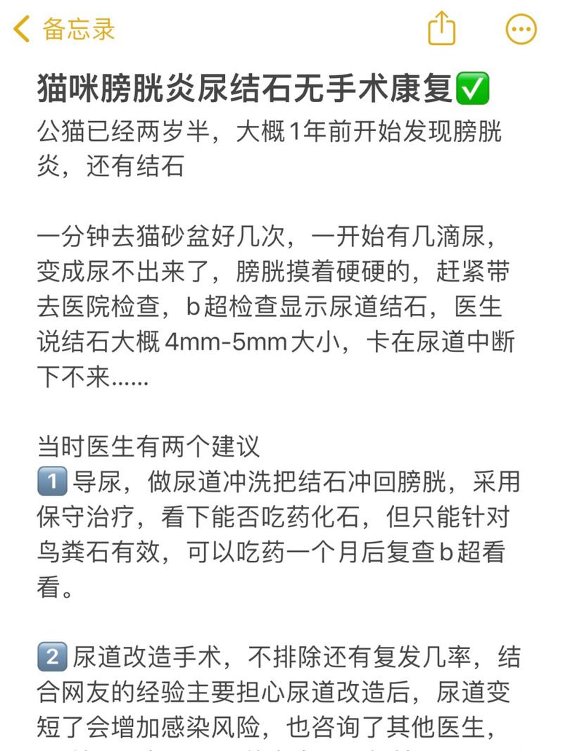猫咪结石手术多少钱,猫咪结石手术多少钱一次-第2张图片-后鲨宠物 猫咪结石手术多少钱,猫咪结石手术多少钱一次-第2张图片-后鲨宠物