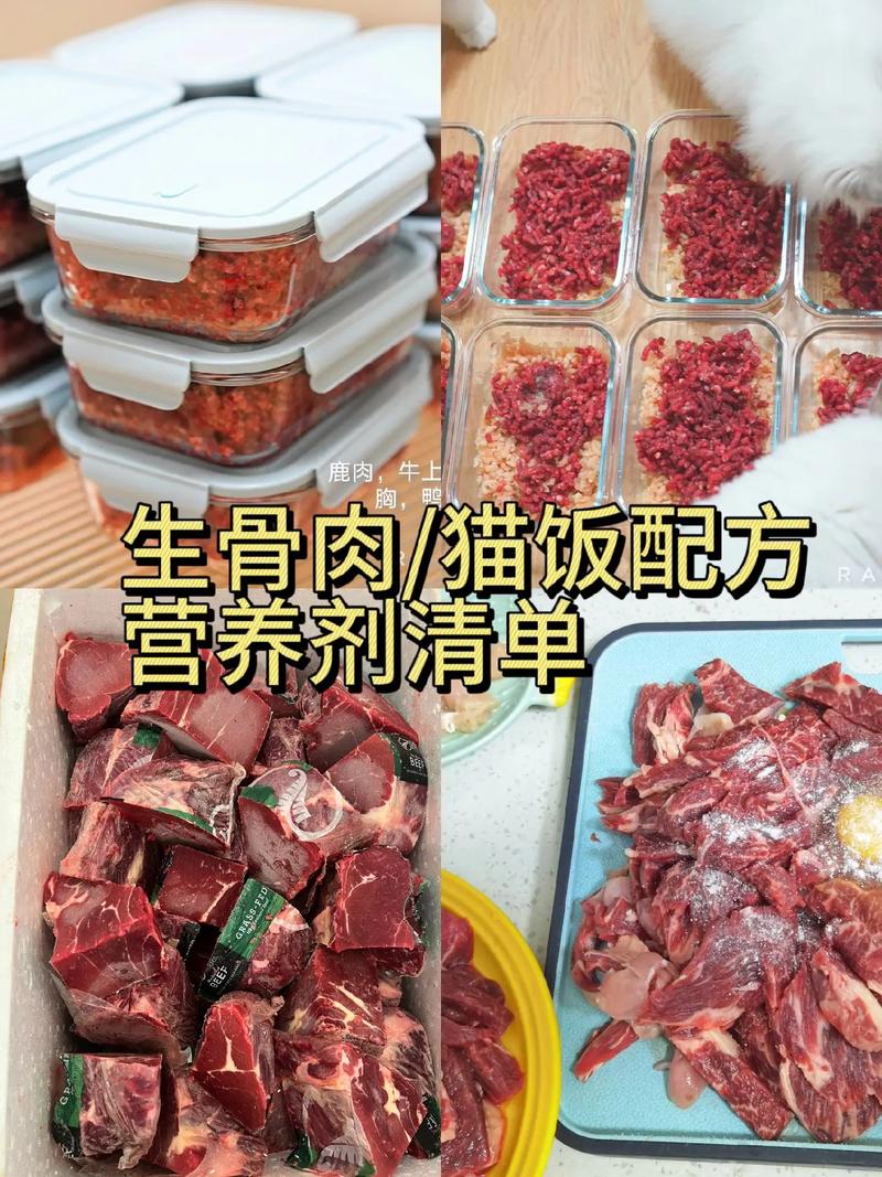 猫咪能吃排骨吗,猫咪能吃排骨吗蒸熟的?-第3张图片-后鲨宠物 猫咪能吃排骨吗,猫咪能吃排骨吗蒸熟的?-第3张图片-后鲨宠物