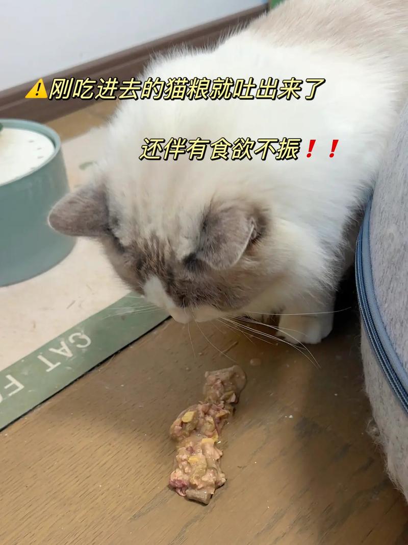 猫咪能吃排骨吗,猫咪能吃排骨吗蒸熟的?-第4张图片-后鲨宠物 猫咪能吃排骨吗,猫咪能吃排骨吗蒸熟的?-第4张图片-后鲨宠物