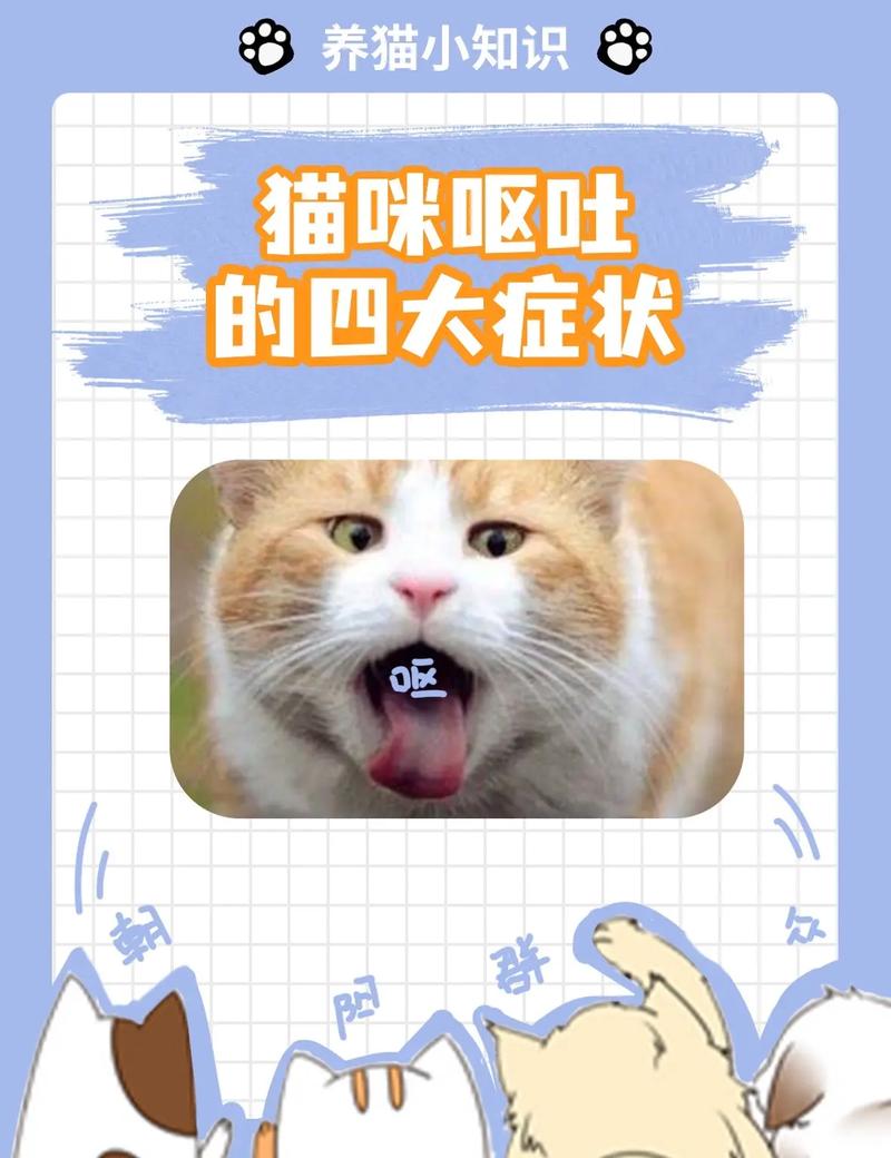 猫咪能吃排骨吗,猫咪能吃排骨吗蒸熟的?-第5张图片-后鲨宠物 猫咪能吃排骨吗,猫咪能吃排骨吗蒸熟的?-第5张图片-后鲨宠物