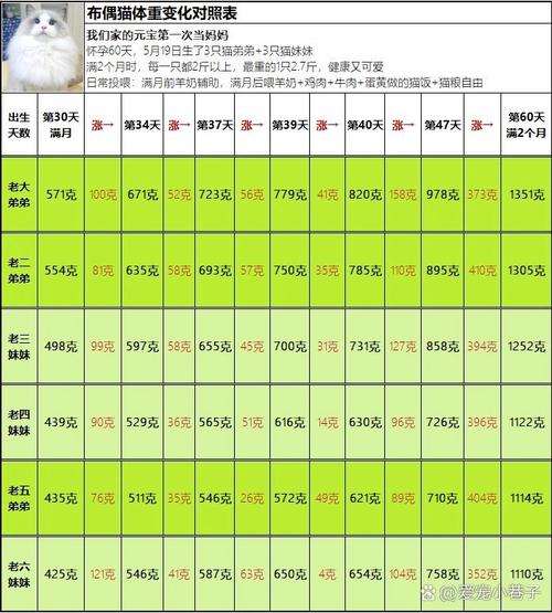 猫咪的正常体重,猫咪的正常体重表-第2张图片-后鲨宠物 猫咪的正常体重,猫咪的正常体重表-第2张图片-后鲨宠物