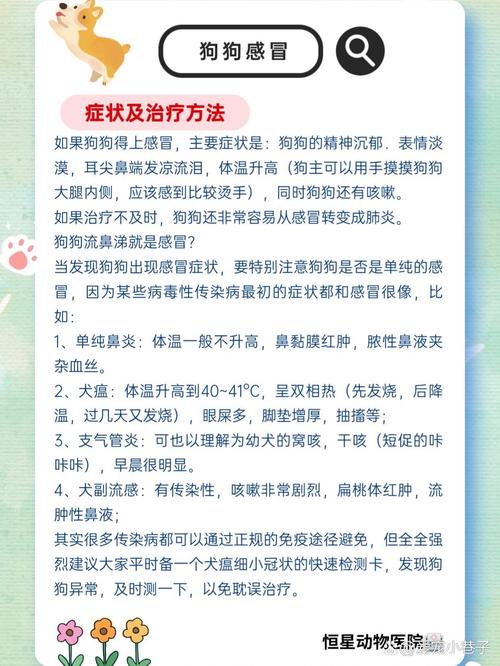 怎么判断狗狗感冒了,怎么判断狗狗感冒了是否不吃饭-第2张图片-后鲨宠物 怎么判断狗狗感冒了,怎么判断狗狗感冒了是否不吃饭-第2张图片-后鲨宠物