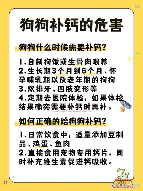 狗狗吃人的钙片可以吗_狗狗吃人的钙片能补钙吗-第4张图片-后鲨宠物 狗狗吃人的钙片可以吗_狗狗吃人的钙片能补钙吗-第4张图片-后鲨宠物