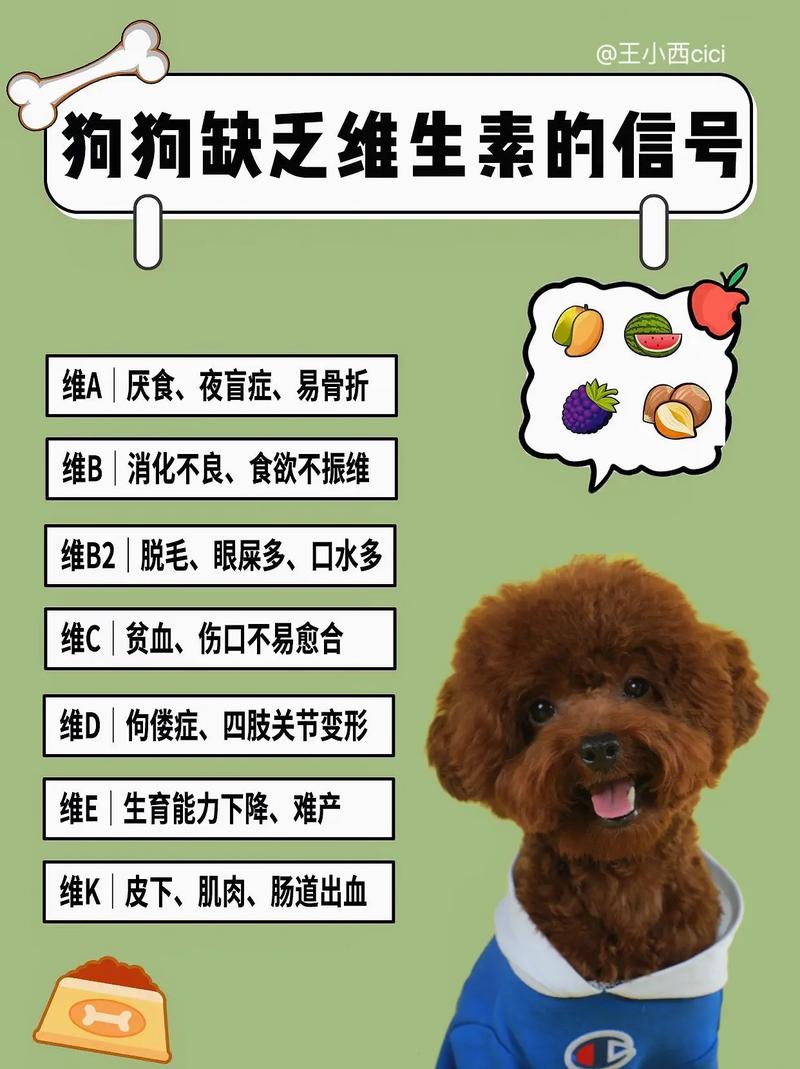 狗狗缺微量元素的症状_狗狗缺微量元素的症状图片-第2张图片-后鲨宠物 狗狗缺微量元素的症状_狗狗缺微量元素的症状图片-第2张图片-后鲨宠物