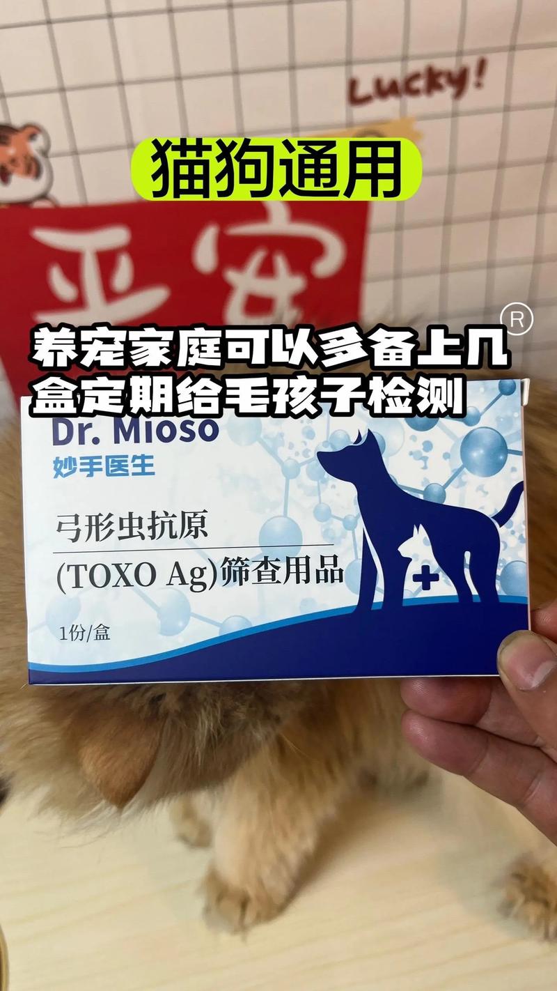  猫咪弓形虫试纸准吗，猫咪弓形虫试纸一条显一条不显-第4张图片-后鲨宠物