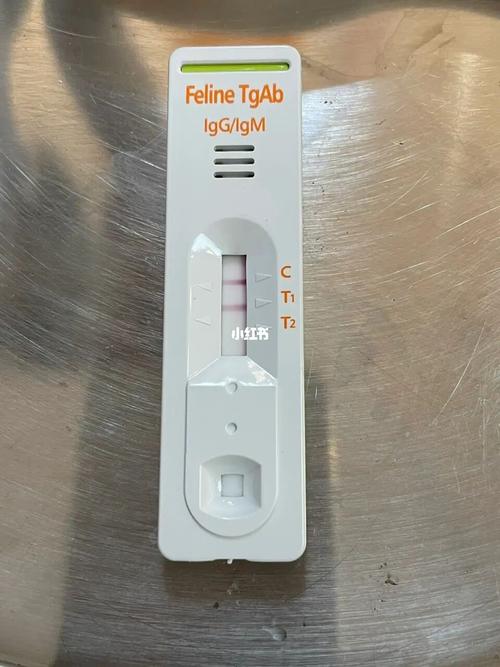  猫咪弓形虫试纸准吗，猫咪弓形虫试纸一条显一条不显-第5张图片-后鲨宠物
