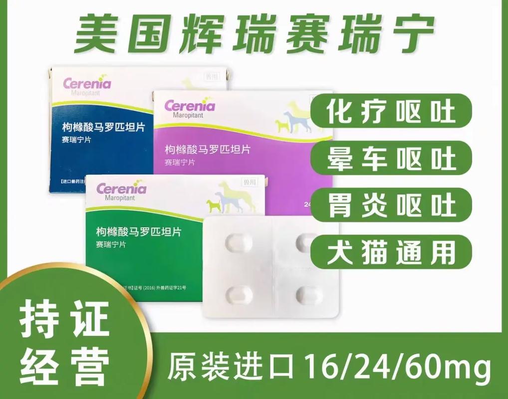 猫咪吃了猫草吐黄水_猫咪吃了猫草吐黄水怎么办-第5张图片-后鲨宠物 猫咪吃了猫草吐黄水_猫咪吃了猫草吐黄水怎么办-第5张图片-后鲨宠物