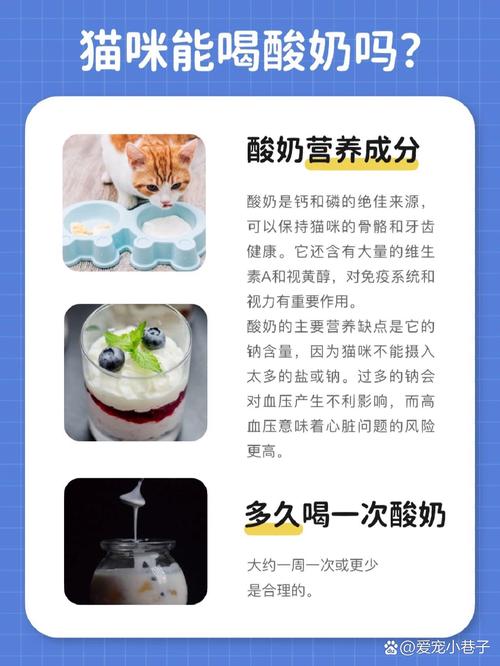 猫咪能不能喝酸奶，猫咪能不能喝酸奶饮料？-第1张图片-后鲨宠物