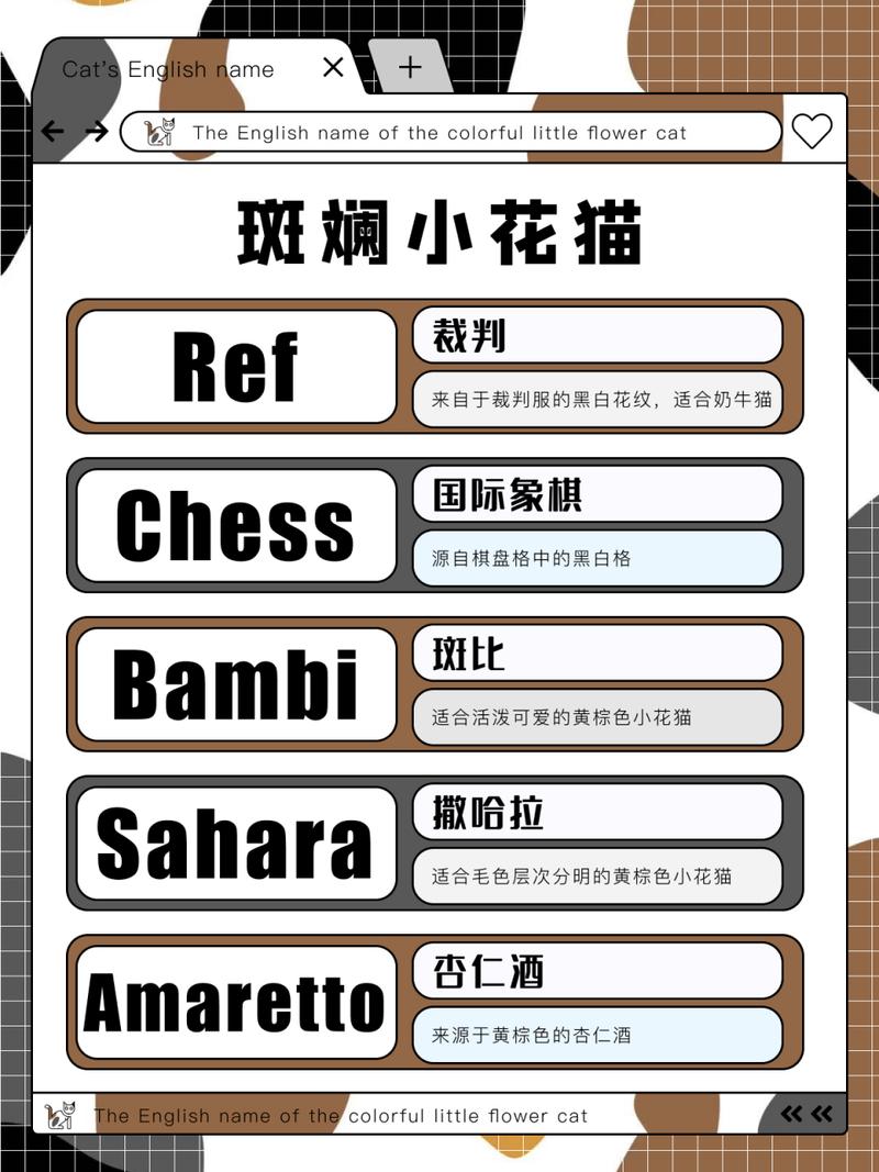 猫咪的英文名字_猫咪的英文名字有哪些-第2张图片-后鲨宠物 猫咪的英文名字_猫咪的英文名字有哪些-第2张图片-后鲨宠物