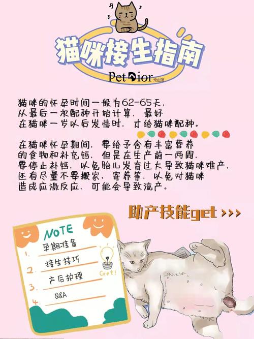 怎么帮猫咪接生,帮猫咪接生视频教程-第5张图片-后鲨宠物 怎么帮猫咪接生,帮猫咪接生视频教程-第5张图片-后鲨宠物