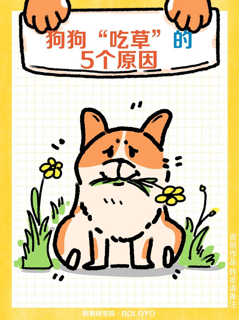 狗狗可以吃猫草吗,狗狗可以吃猫草吗有毒吗?-第6张图片-后鲨宠物 狗狗可以吃猫草吗,狗狗可以吃猫草吗有毒吗?-第6张图片-后鲨宠物