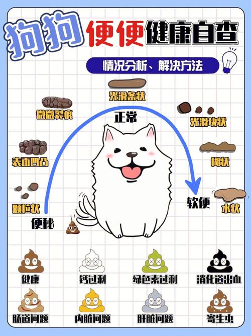 狗狗大便干燥吃什么好,狗 大便干燥-第4张图片-后鲨宠物 狗狗大便干燥吃什么好,狗 大便干燥-第4张图片-后鲨宠物