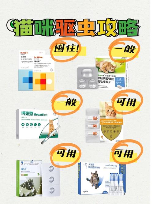 怎样给猫咪喂驱虫药，怎样给猫咪喂驱虫药视频教程？-第5张图片-后鲨宠物