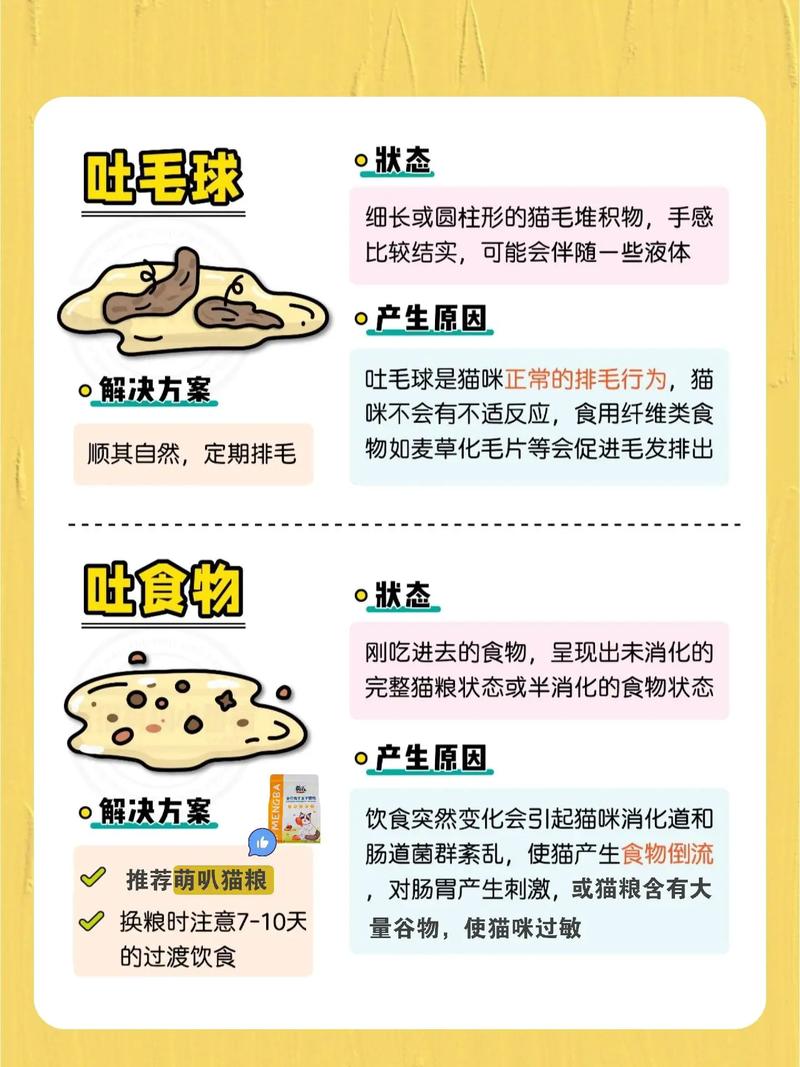  小猫咪呕吐是怎么回事，猫咪不吃东西还呕吐是怎么回事-第2张图片-后鲨宠物