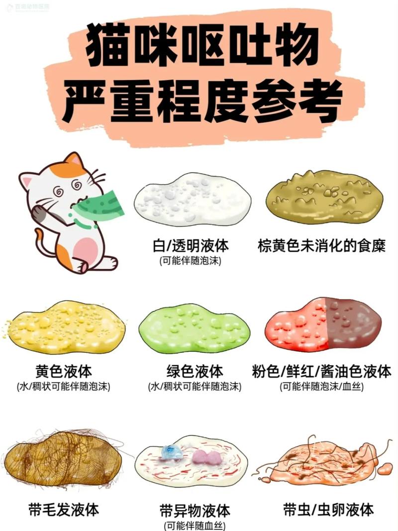  小猫咪呕吐是怎么回事，猫咪不吃东西还呕吐是怎么回事-第5张图片-后鲨宠物