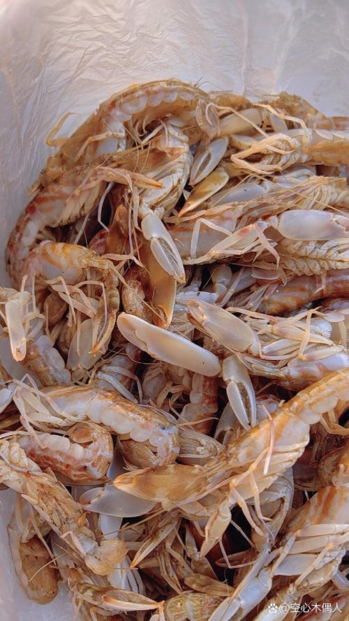 狗狗能吃虾头吗,狗狗能吃虾头吗熟的?-第4张图片-后鲨宠物 狗狗能吃虾头吗,狗狗能吃虾头吗熟的?-第4张图片-后鲨宠物