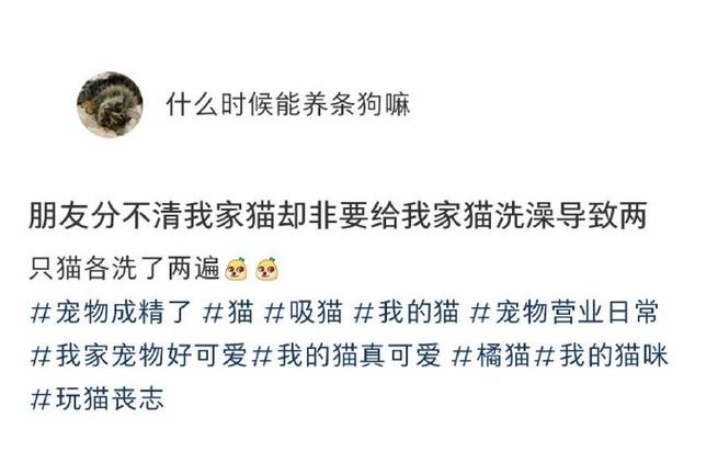 猫猫多久洗一次澡,猫猫多久洗一次澡比较好-第2张图片-后鲨宠物 猫猫多久洗一次澡,猫猫多久洗一次澡比较好-第2张图片-后鲨宠物