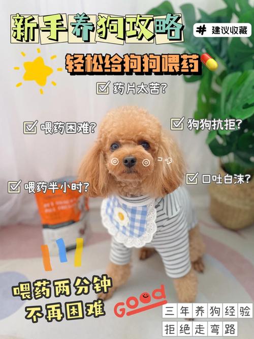 狗狗很倔不吃药怎么喂_狗狗很倔不吃药怎么喂它-第3张图片-后鲨宠物 狗狗很倔不吃药怎么喂_狗狗很倔不吃药怎么喂它-第3张图片-后鲨宠物