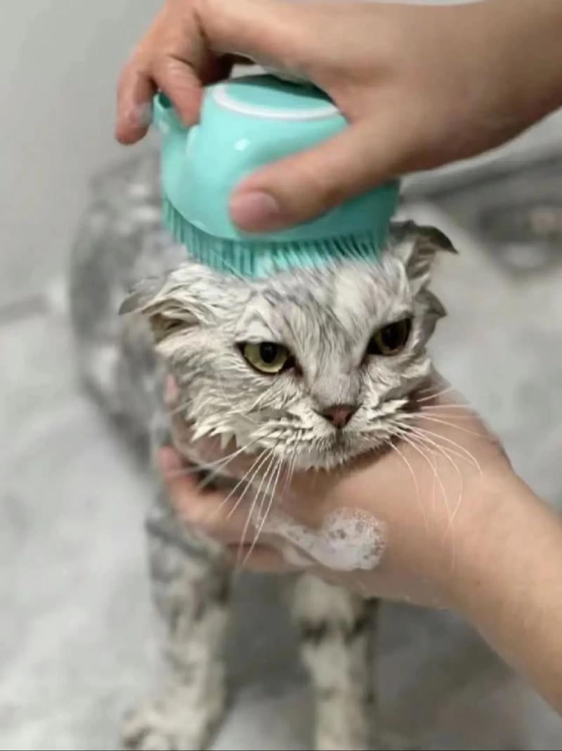 猫咪可以用香皂洗澡吗,猫咪能不能用香皂?-第3张图片-后鲨宠物 猫咪可以用香皂洗澡吗,猫咪能不能用香皂?-第3张图片-后鲨宠物