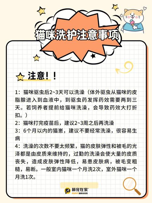 猫咪可以用香皂洗澡吗,猫咪能不能用香皂?-第4张图片-后鲨宠物 猫咪可以用香皂洗澡吗,猫咪能不能用香皂?-第4张图片-后鲨宠物