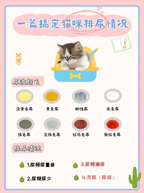 猫咪尿液颜色对照表_猫咪尿液颜色对照表图片-第3张图片-后鲨宠物
