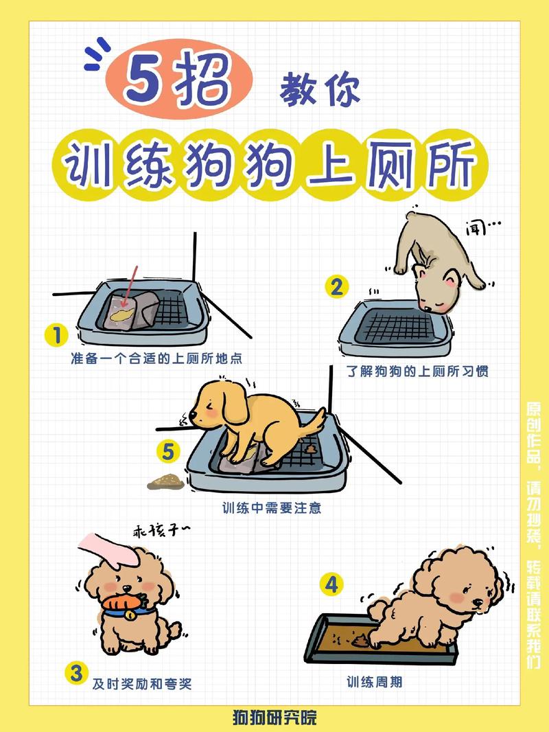 怎么训练狗狗在外面拉屎,怎么训练狗狗在外面大便?-第5张图片-后鲨宠物 怎么训练狗狗在外面拉屎,怎么训练狗狗在外面大便?-第5张图片-后鲨宠物